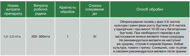 https://www.rangoli.ua/wp-content/uploads/2022/08/izobrazhenie_2022-08-30_164925814.png